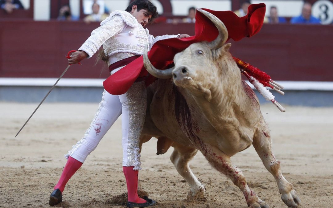 Madrid: 10ª de San Isidro – Luis David, ilusión y fortaleza
