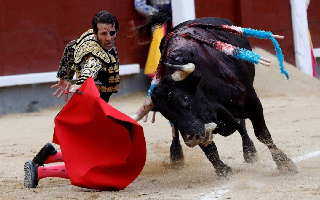 Madrid: 11ª de San Isidro – ¡Madrid está con él!