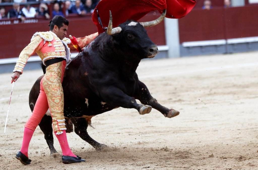 Madrid: 12ª de San Isidro – Toro manso y exigente
