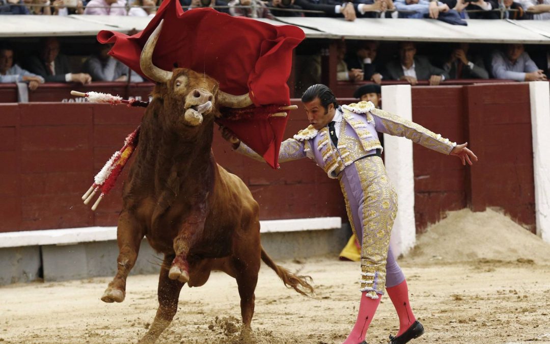 Madrid: 15ª de San Isidro – Héroe o artista