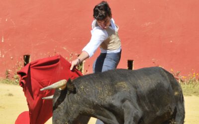 Elegidos cinco novilleros para el certamen de las Escuelas Taurinas de Andalucía