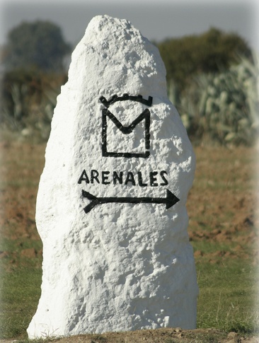 Arenales, como un día El Toruño