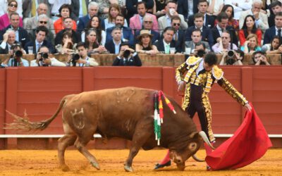 Sevilla: 14º de abono – Luque es mucho torero para una birria de corrida