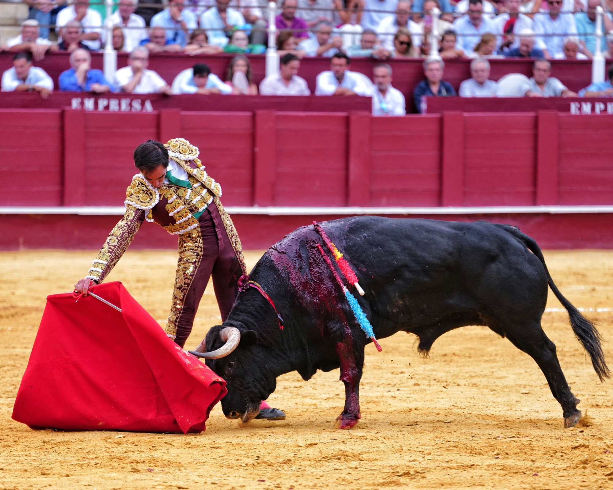 Málaga: 5ª de Feria – Tres artistas, por encima de la corrida de Torrealta
