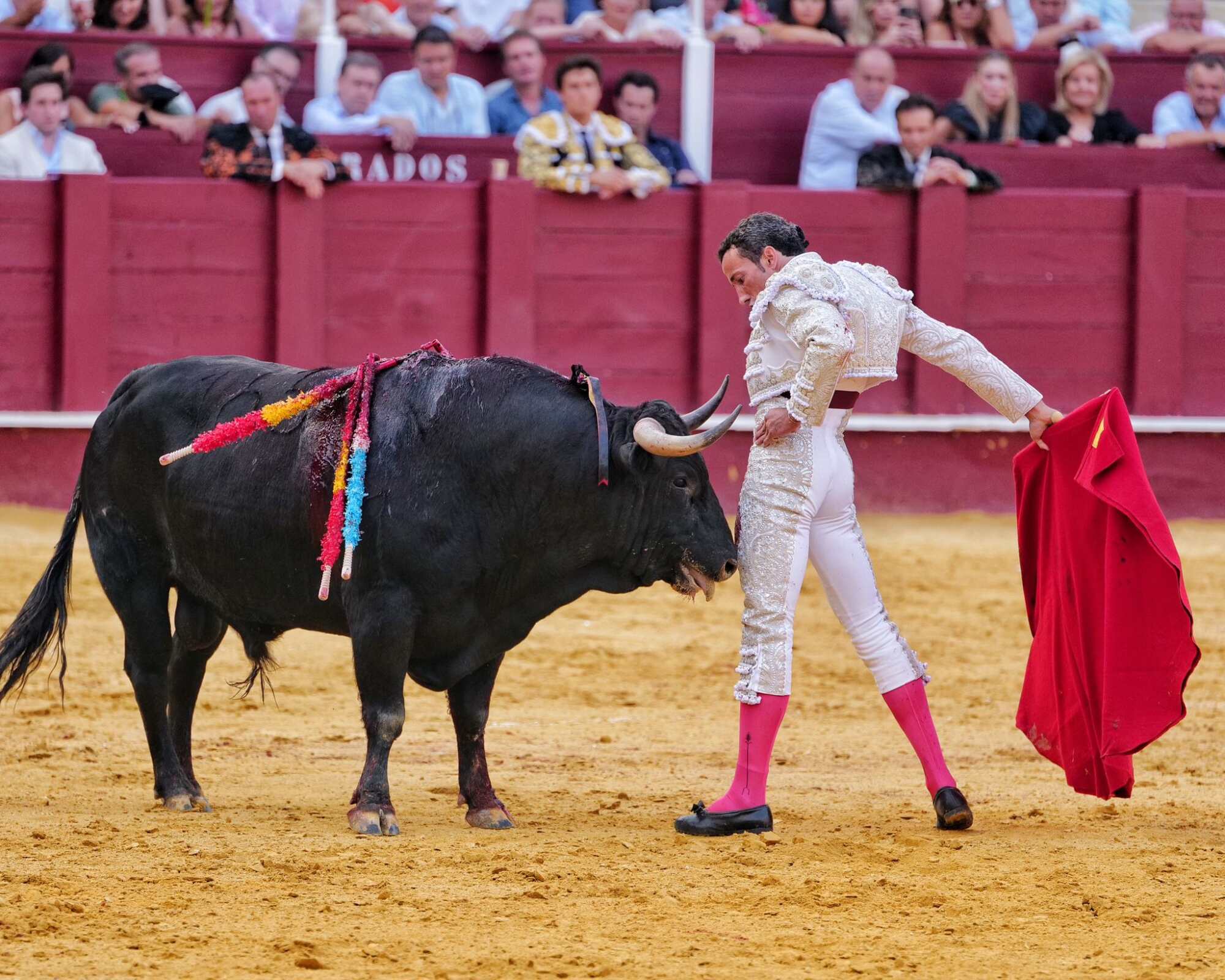 Málaga: 6ª de Feria – David de Miranda se juega la vida y gana la gloria
