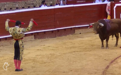 Raza ofrece una gran faena de Morante en la plaza de Huelva en 2018