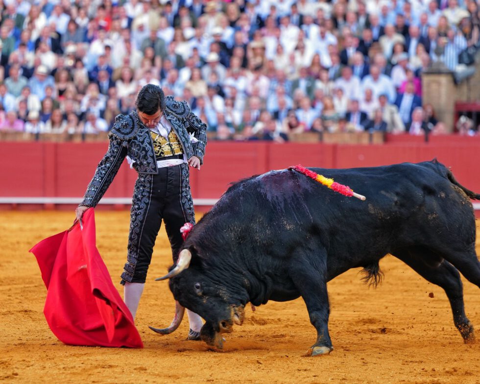 Corrida de toros – Garcigrande – Morante de la Puebla, Roca Rey y David ...