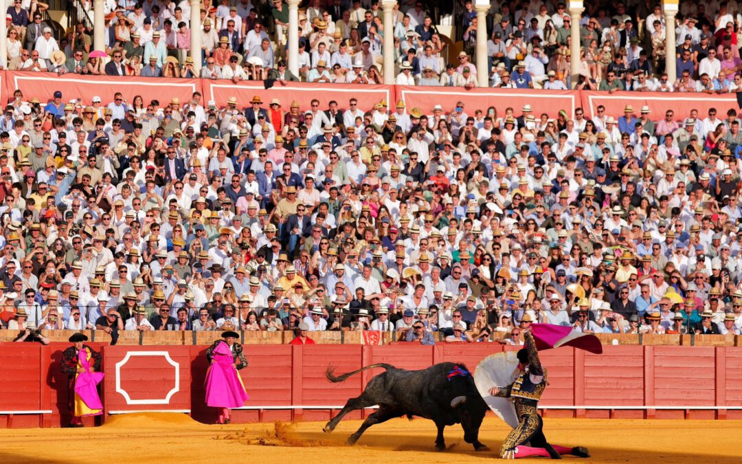 Los detalles de la 8ª de abono