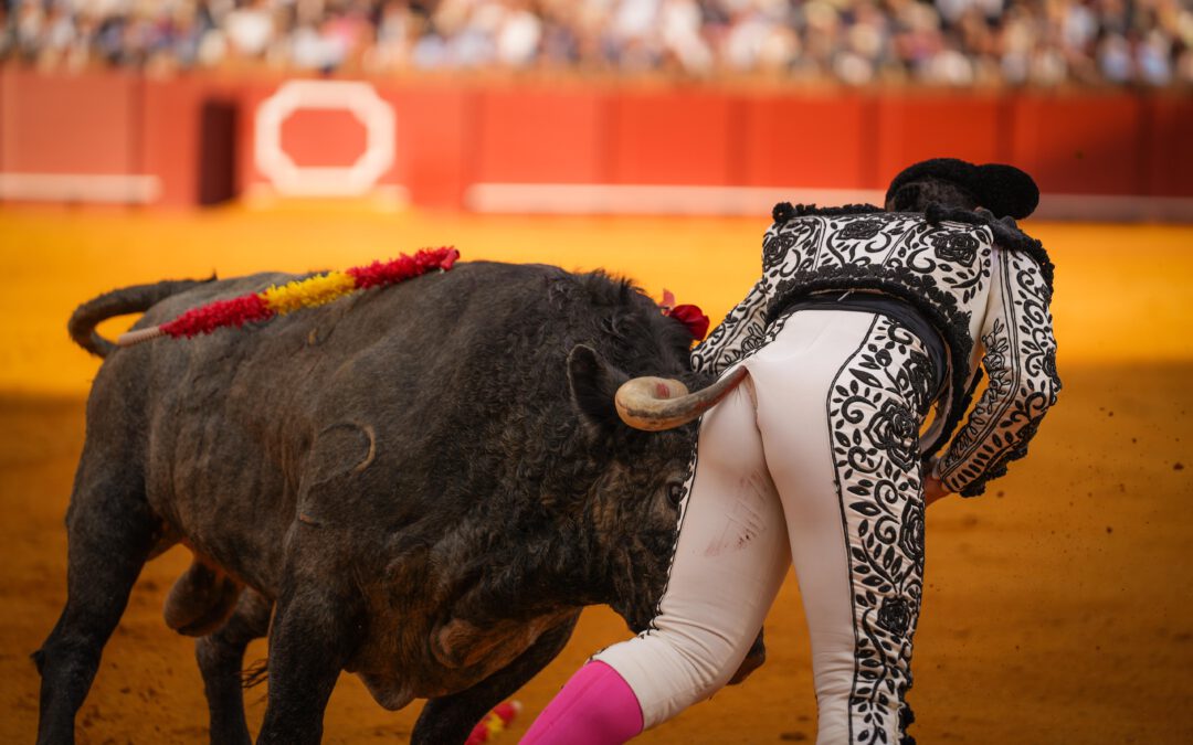 Los detalles de la 15ª de abono